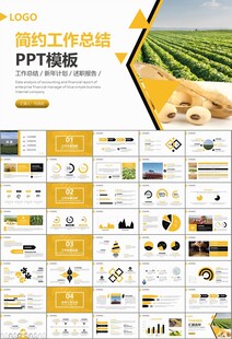 大豆种植产业工作总结年终汇报