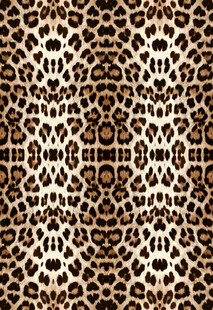 豹纹图案纹理设计素材