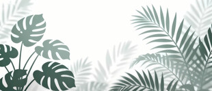 雾气磨砂膜效果绿植贴图