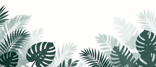 雾气磨砂膜效果绿植贴图