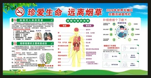 世界无烟日宣传栏