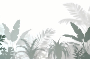 雾气磨砂膜效果绿植贴图