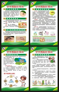 预防登革热知识展板