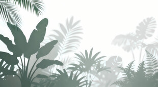 雾气磨砂膜效果绿植贴图