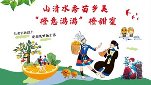 苗族文化  冰糖橙