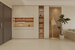 衣帽间效果图