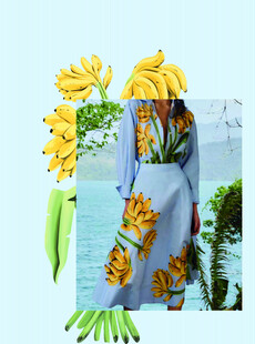 蓝色布料旁的多样香蕉植物