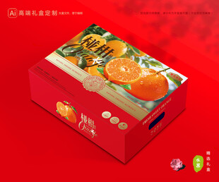 芦柑包装 椪柑礼盒