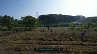 田野劳作场景