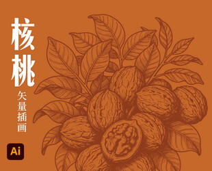核桃插画