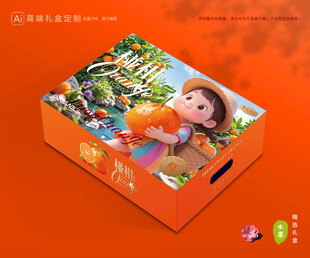 芦柑包装 椪柑礼盒