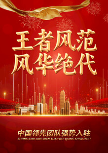 王者风范风华绝代海报