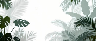 雾气磨砂膜效果绿植贴图