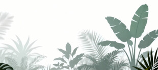 雾气磨砂膜效果绿植贴图