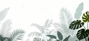 雾气磨砂膜效果绿植贴图