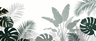 雾气磨砂膜效果绿植贴图