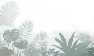 雾气磨砂膜效果绿植贴图