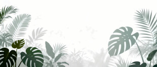 雾气磨砂膜效果绿植贴图