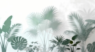 雾气磨砂膜效果绿植贴图