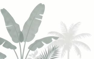 雾气磨砂膜效果绿植贴图