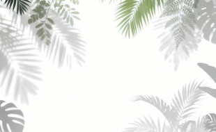 雾气磨砂膜效果绿植贴图