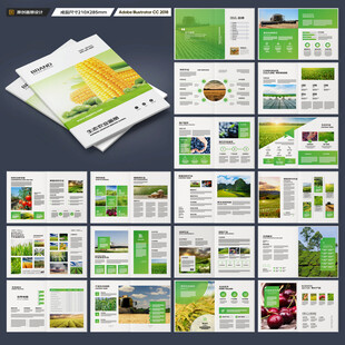 农产品宣传册