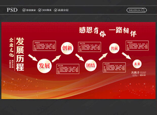 企业发展历程