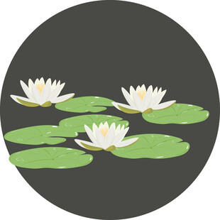 圆形中的睡莲与荷叶 矢量图