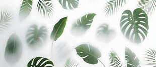 雾气磨砂膜效果绿植贴图