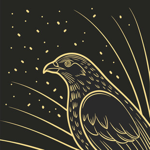 金色飞鸟于星芒背景中