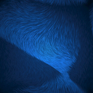 深蓝色毛绒面料纹理特写