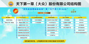 大众股份公司架构图