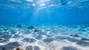 海底阳光洒落的美丽景象