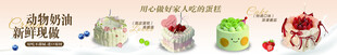 动物奶油 草莓季
