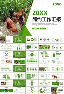 绿色生态农家鸡舍家禽养殖PPT