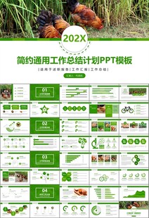 绿色生态农家鸡舍家禽养殖PPT