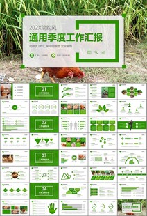 绿色生态农家鸡舍家禽养殖PPT