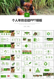 绿色生态农家鸡舍家禽养殖PPT