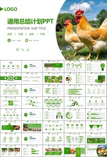 绿色生态农家鸡舍家禽养殖PPT