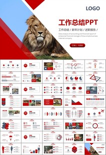 动物园工作总结保护野生动物