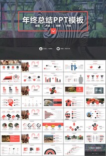 动物园工作总结保护野生动物