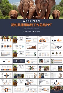 动物园工作总结保护野生动物