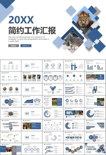 动物园工作总结保护野生动物