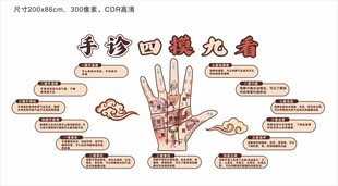 手诊四摸九看展板文化墙