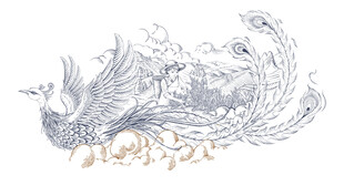 手绘凤凰单丛插画茶叶包装