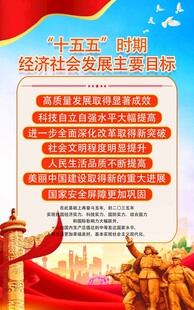  十五五时期规划目标