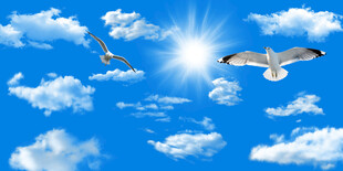 蓝天白云天花软膜