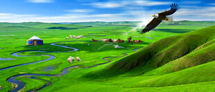 呼伦贝尔大草原