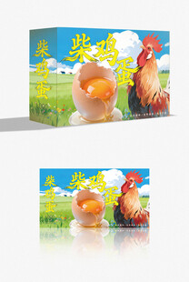 柴鸡蛋包装 