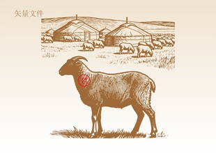 羊插画